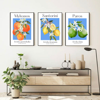 Set of 3 Greek Islands Citrus Fruit Prints