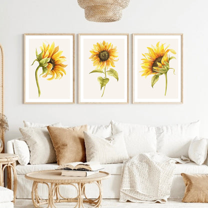 Set of 3 Sunflower Botanical Prints