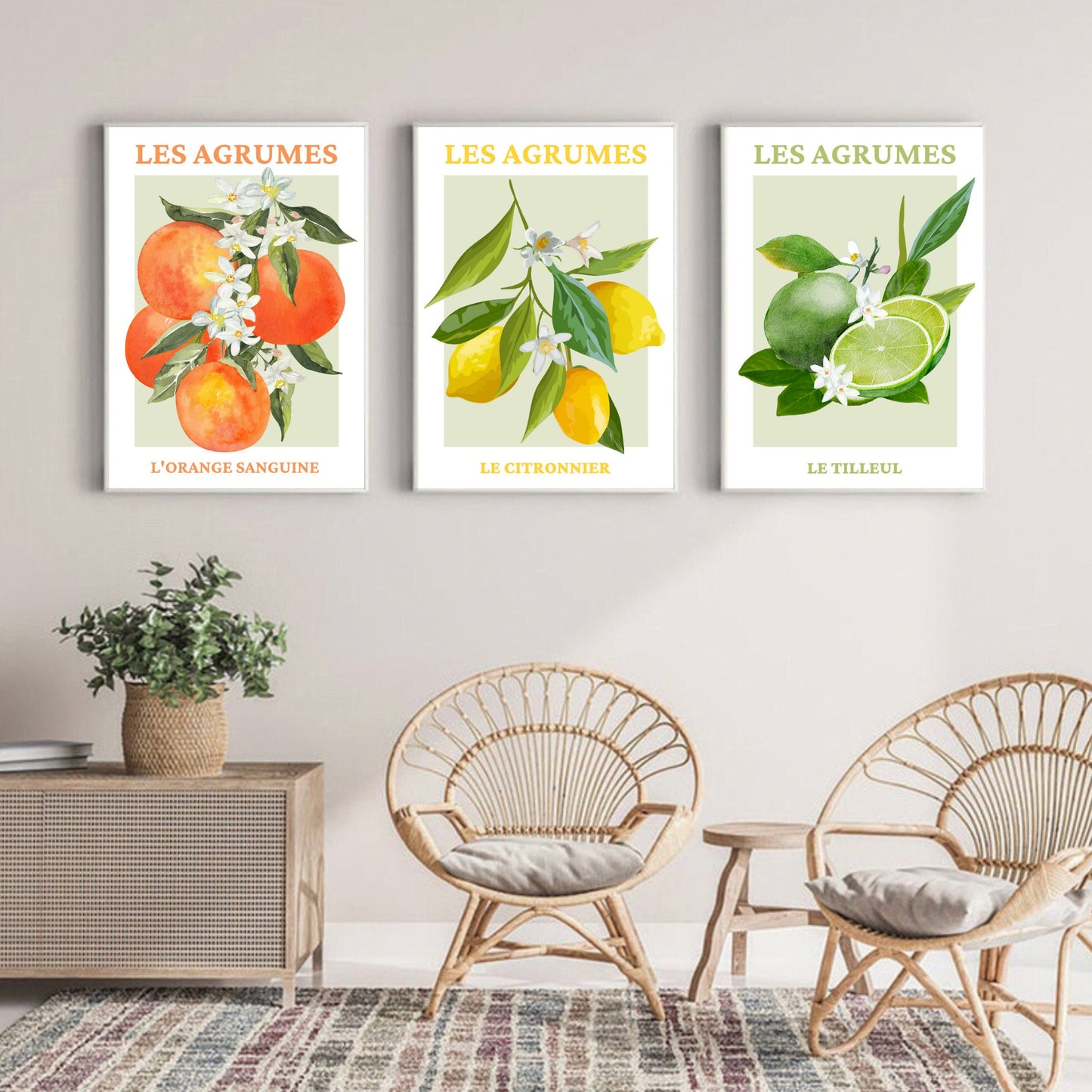 Set Of 3 French Fruit Art Prints