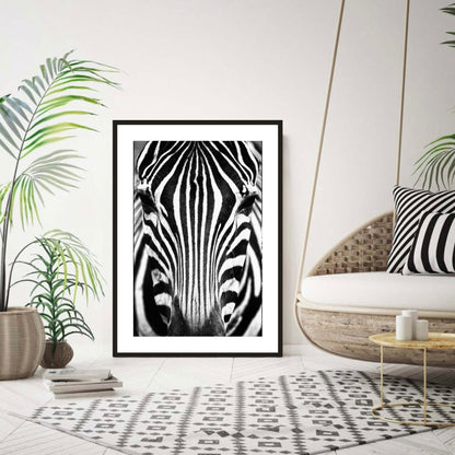 Zebra Portrait Black & White Print
