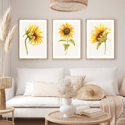 Set of 3 Sunflower Botanical Prints
