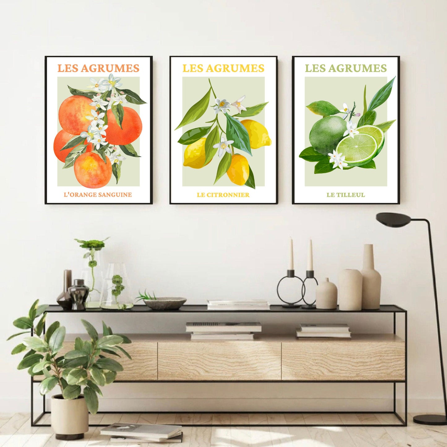 Set Of 3 French Fruit Art Prints