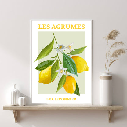 French Lemon Wall Art Print