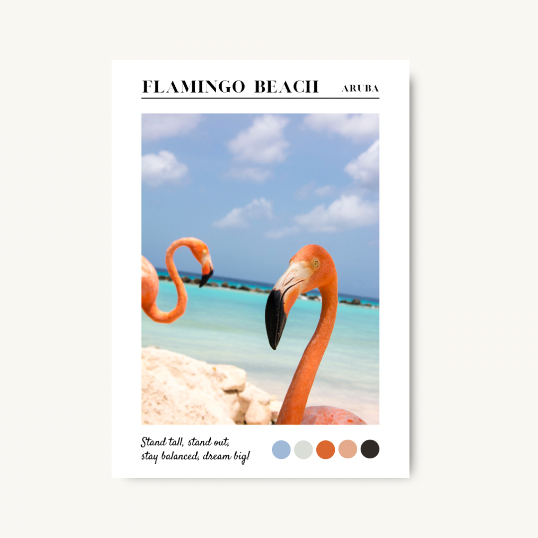Flamingo Beach Aruba Print