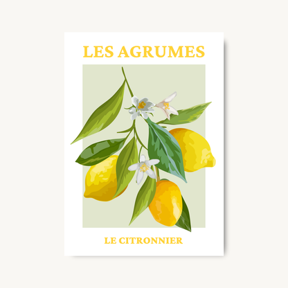French Lemon Wall Art Print