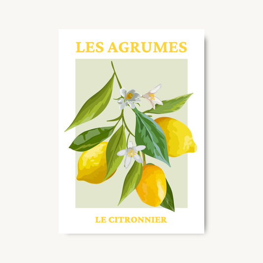 French Lemon Wall Art Print