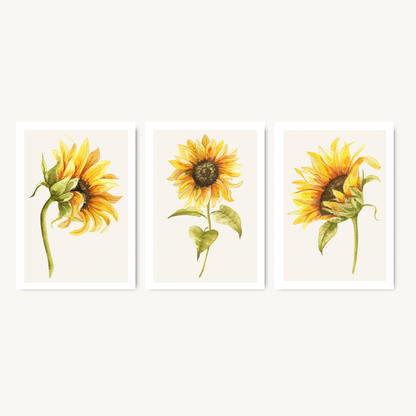 Set of 3 Sunflower Botanical Prints