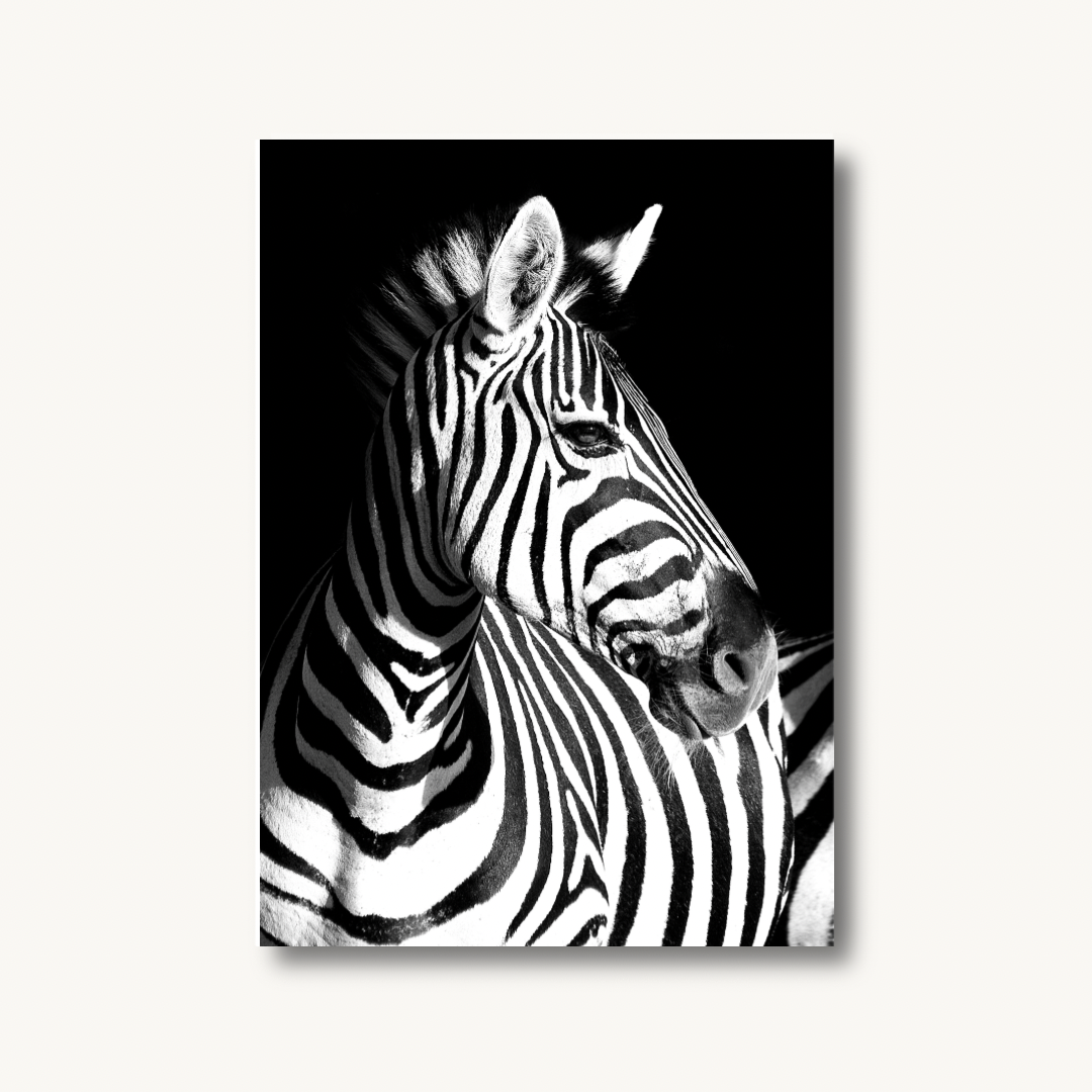 Zebra Safari Print