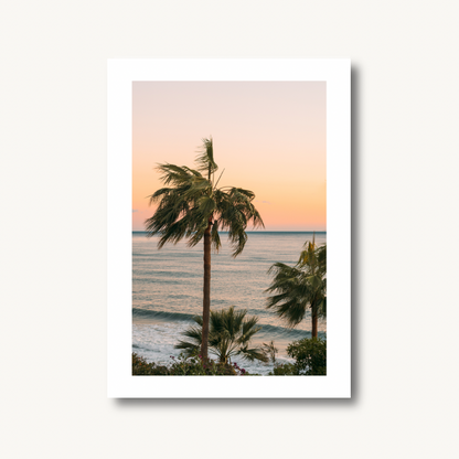 Sunset Palm Trees Print