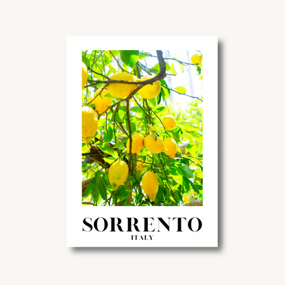 Sorrento Lemon Amalfi Wall Print