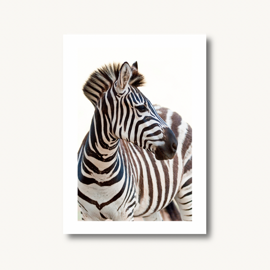 Zebra Print