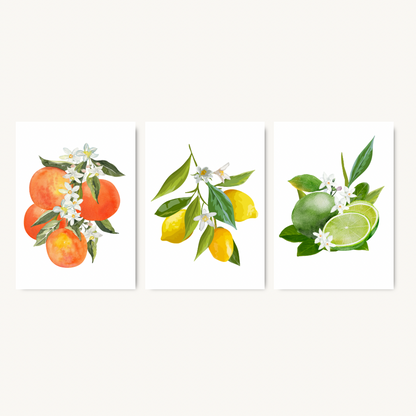 Set of 3 Citrus Fruits Prints