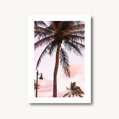 Palm Tree Sunset Print