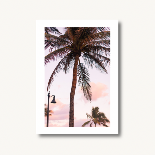 Palm Tree Sunset Print