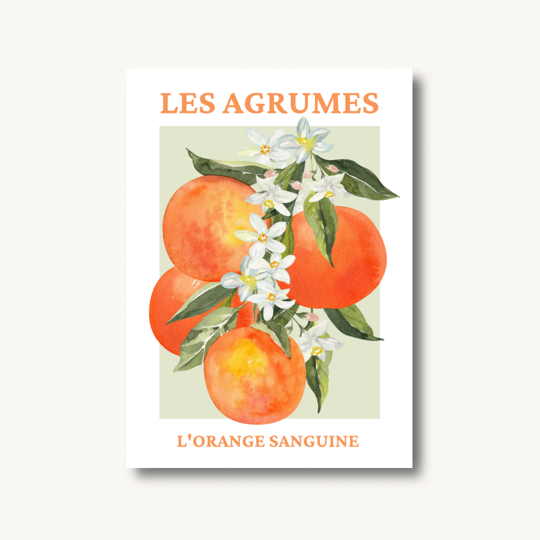 French Fruit Market L’Orange Sanguine Print