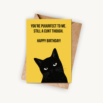 Funny Cat Birthday Card, You're Puuurfect To Me, A5 Greeting Card