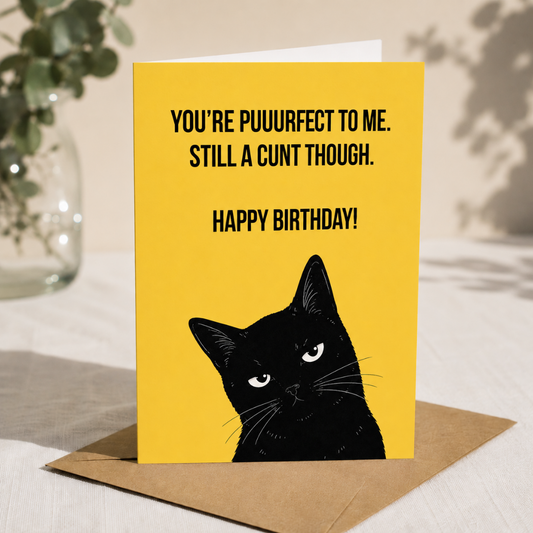 Funny Cat Birthday Card, You're Puuurfect To Me, A5 Greeting Card