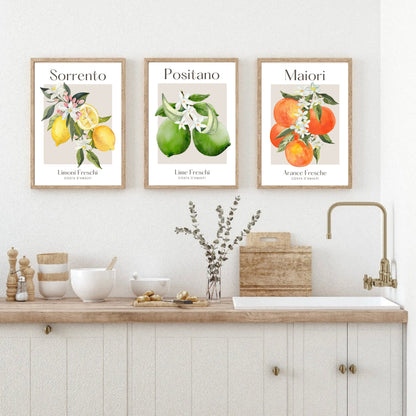 Set of 3 Italian Citrus Fruit Prints