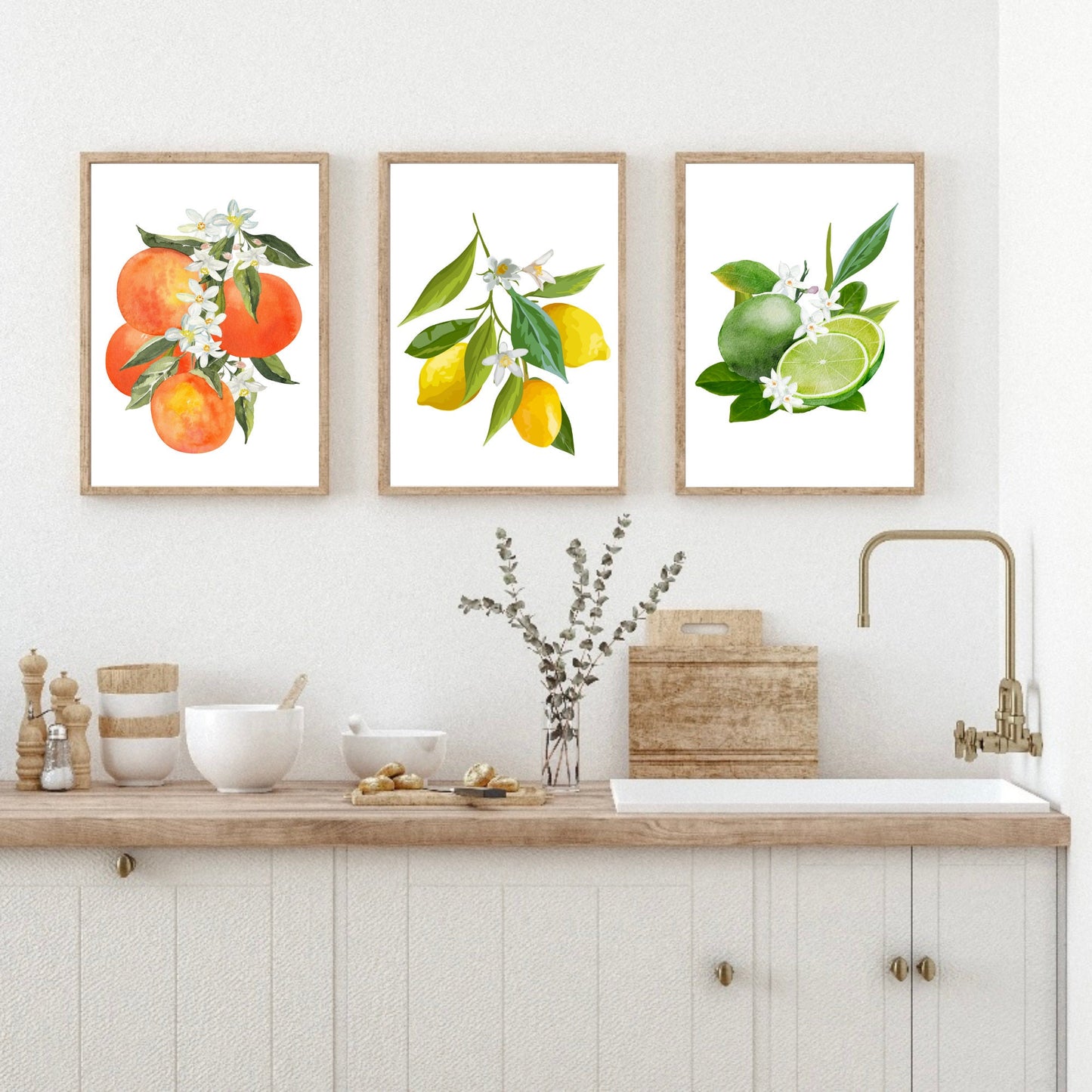 Set of 3 Citrus Fruits Prints