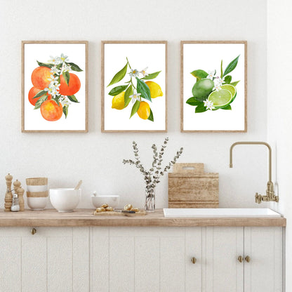 Set of 3 Citrus Fruits Prints