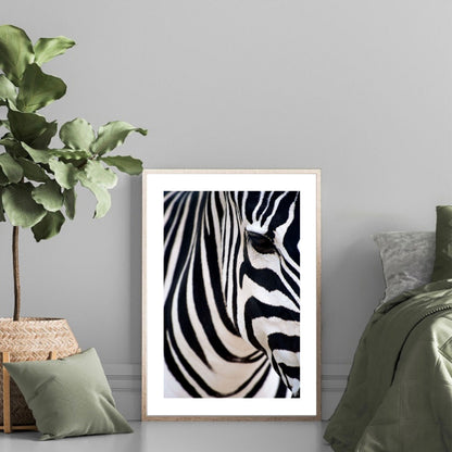 Zebra Close-Up, Black & White Safari Art Print
