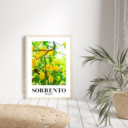 Sorrento Lemon Amalfi Wall Print