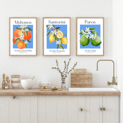 Set of 3 Greek Islands Citrus Fruit Prints