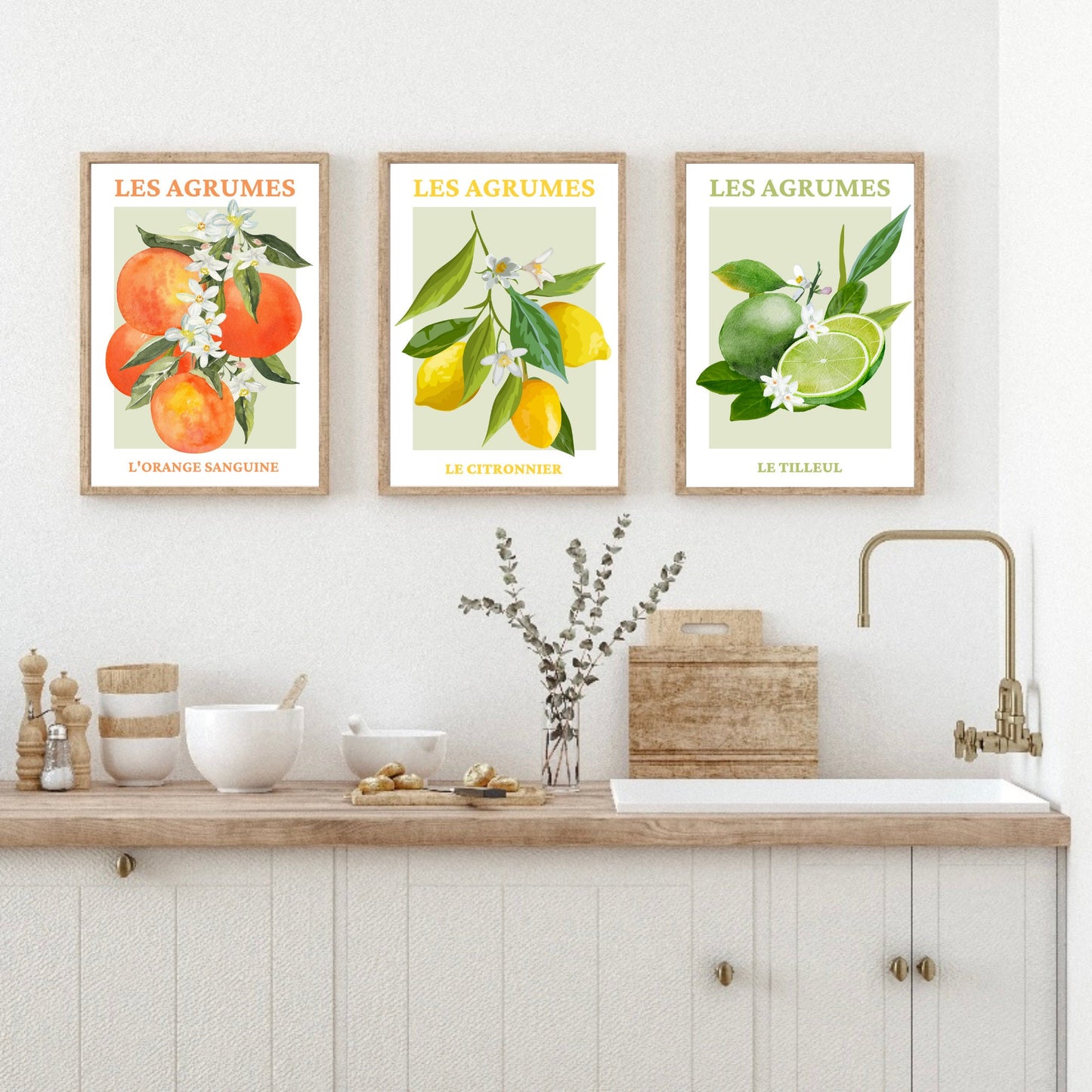 Set Of 3 French Fruit Art Prints