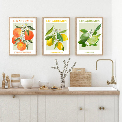 Set Of 3 French Fruit Art Prints