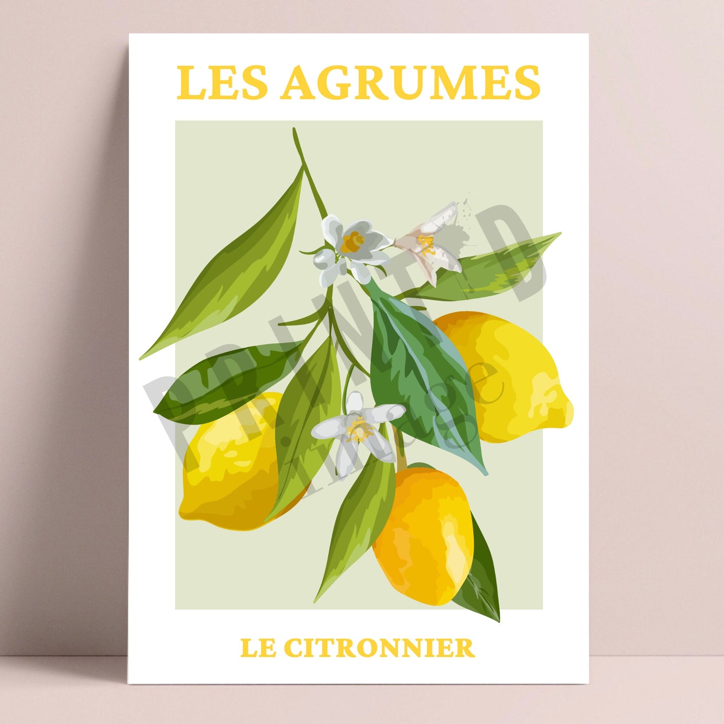 French Lemon Wall Art Print