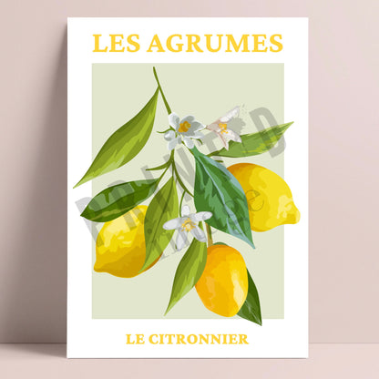 French Lemon Wall Art Print