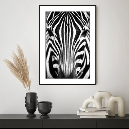 Zebra Portrait Black & White Print